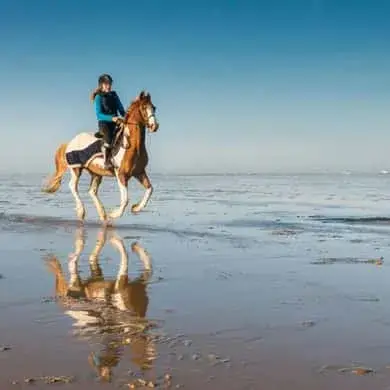 Adventure Activities Egypt 2026 | Best Thrill-Seeking Experiences in Cairo, Red Sea & Desert