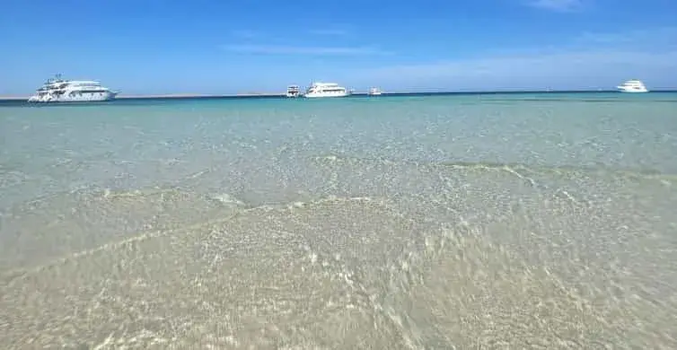 Red Sea Guide 2026 | Best Diving & Coastal Experiences in Hurghada, Sharm & Marsa Alam