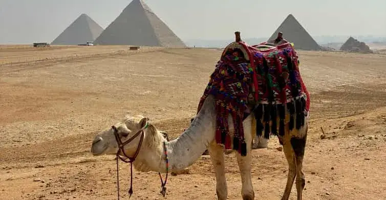 Cairo Snapshot 2026 | Best Guide to Egypt's Bustling Capital City