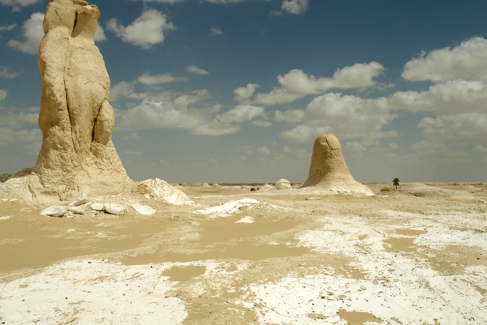 Bahariya Oasis Golden Mummies & Temple of Alexander Tour photo 2