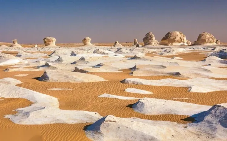 Bahariya Oasis Hot Springs & Black Desert Tour