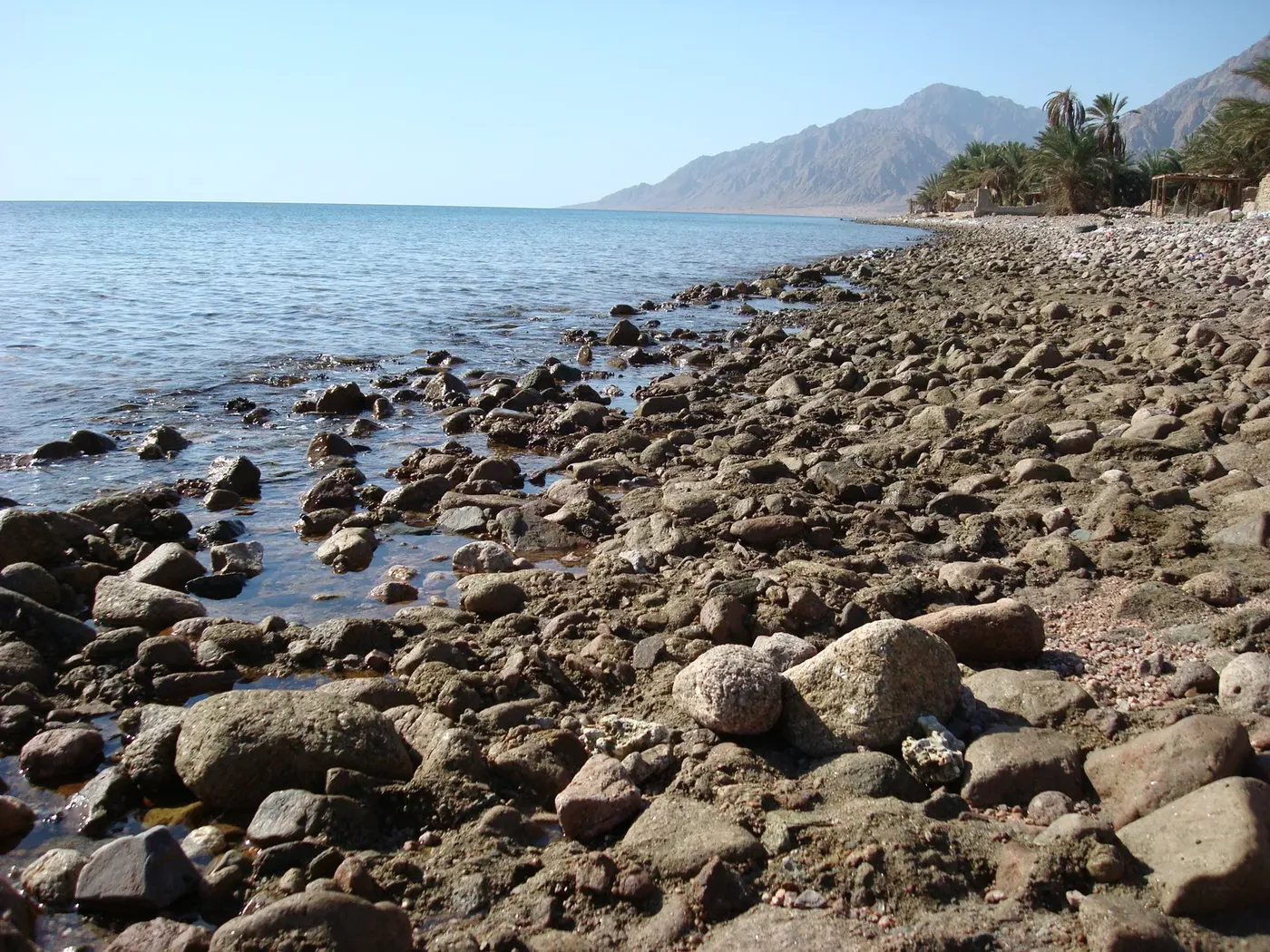 عشاء بدوي في الجبال photo 4