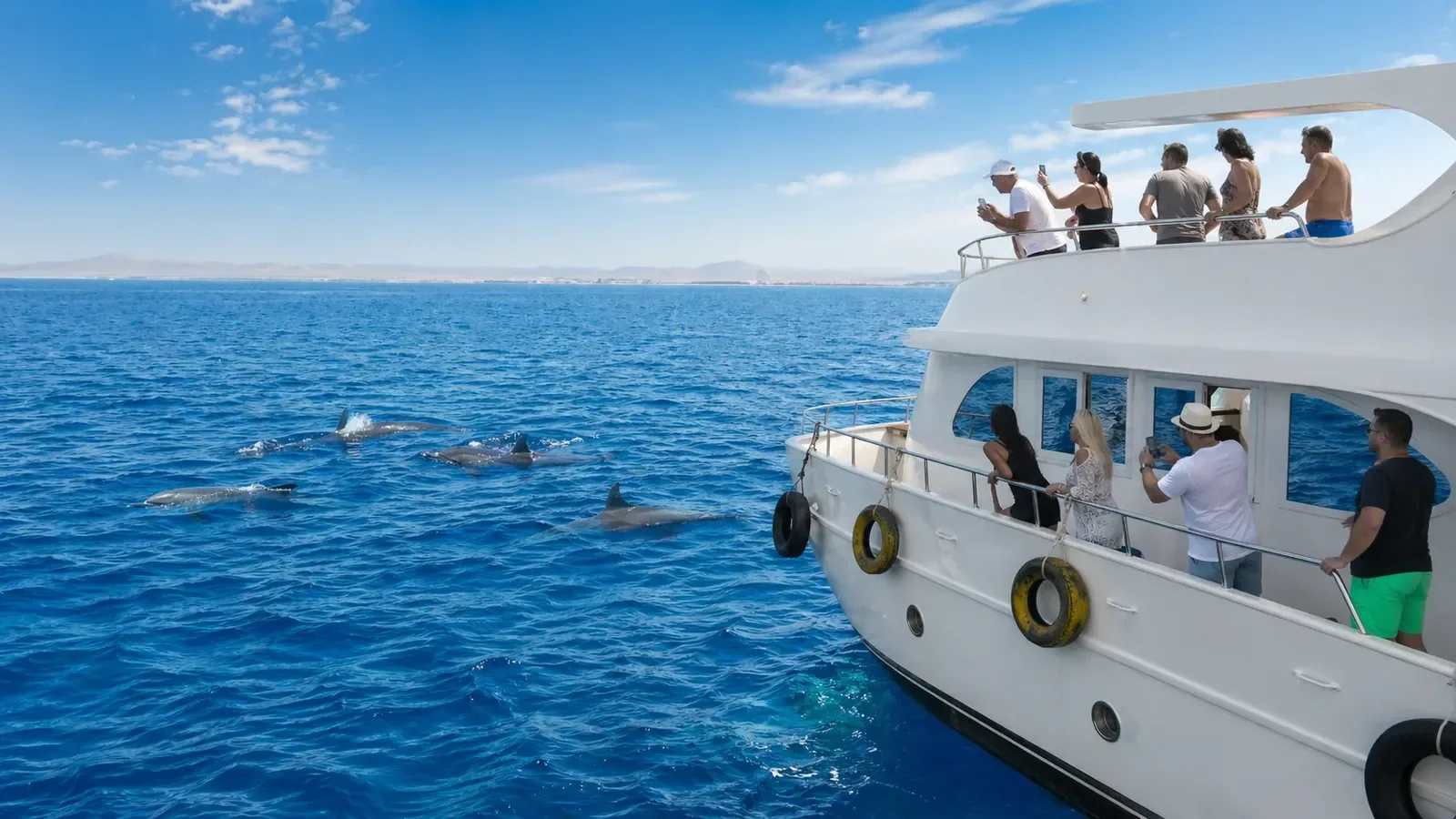 Tourists on the upper deck of a boat photograph a pod of dolphins swimming alongside in the sea.