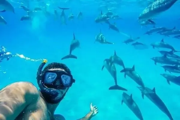 Best Dolphin Family Activities photo 2