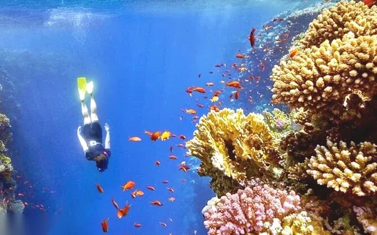 Blue Hole & Colored Canyon Snorkeling Day Trip photo 2