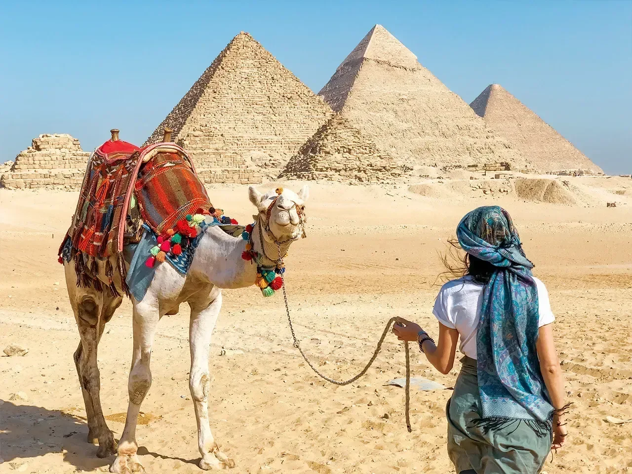 A woman leads a camel decorated with colorful tassels and blankets toward the three Giza pyramids.