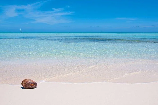 A single coconut rests on white sand at the water's edge, with calm turquoise sea stretching to the horizon.