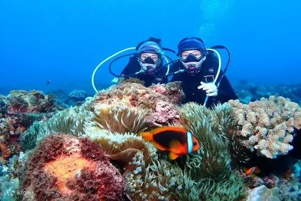 Certified Diving Trip