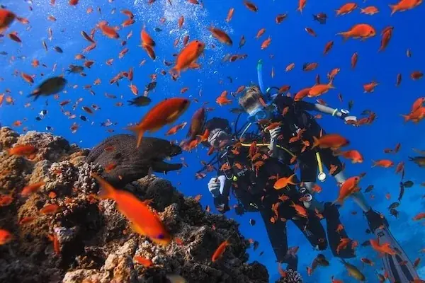 Certified Diving Trip photo 3