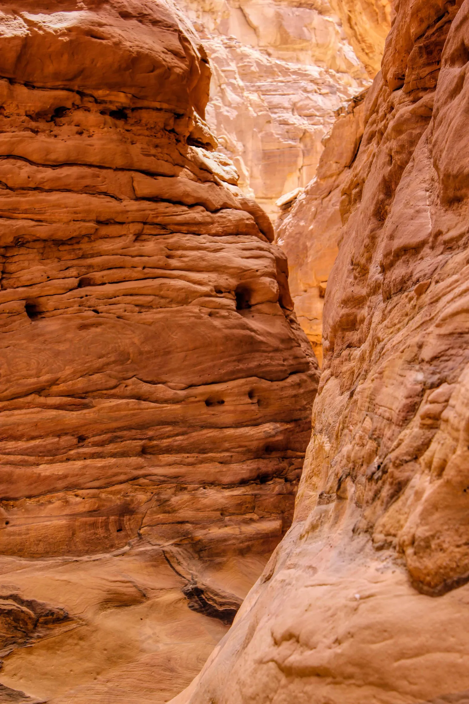 سفاري الكانيون الملون والكانيون الأبيض بالجيب photo 3
