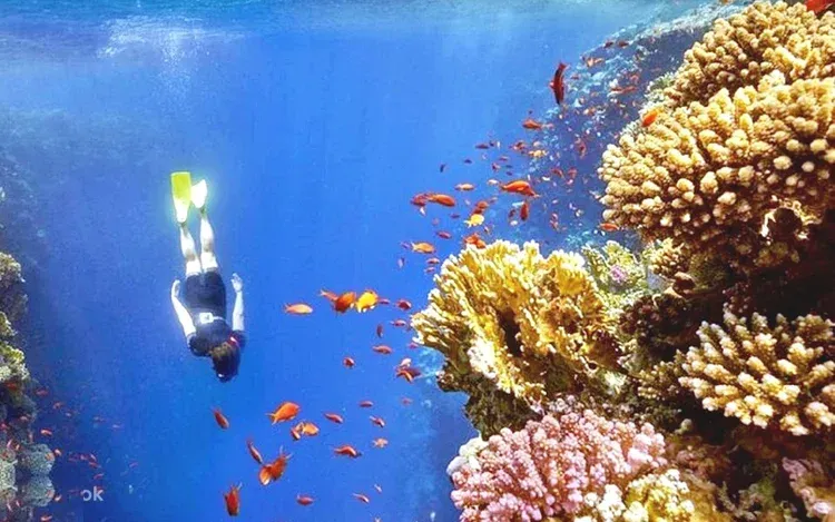Dahab & Blue Hole Day Trip photo 3