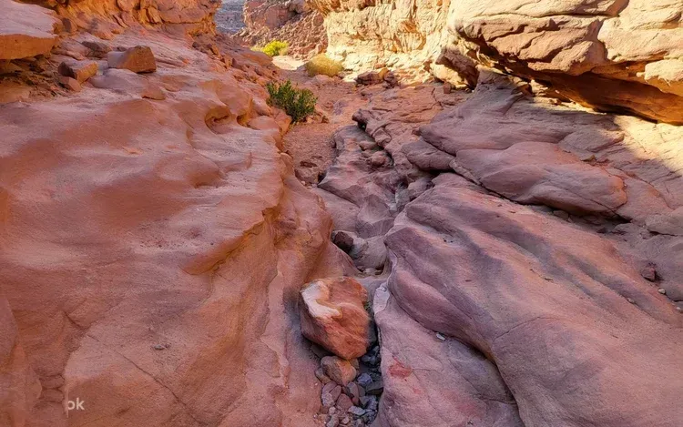 Dahab & Blue Hole Day Trip photo 4