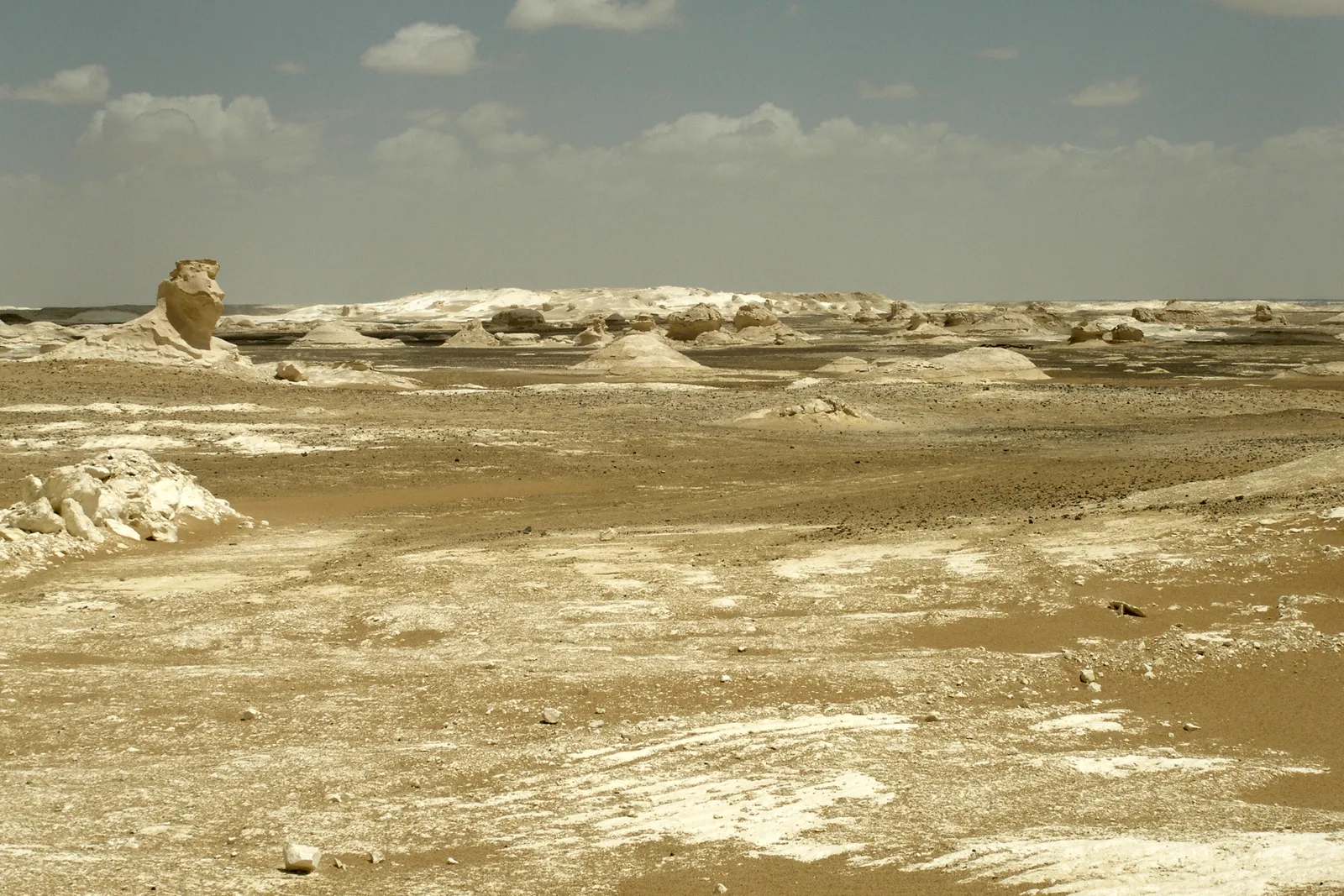 Сафари на квадроциклах на закате в пустыне photo 3