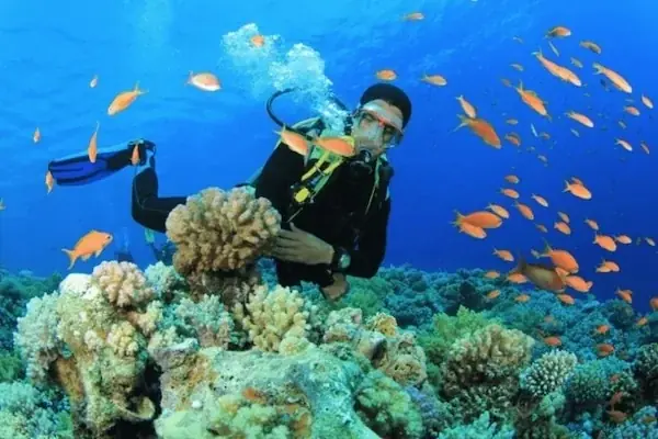 Discover Scuba Diving photo 4