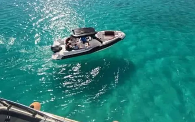 Dolphin House Speedboat Tour