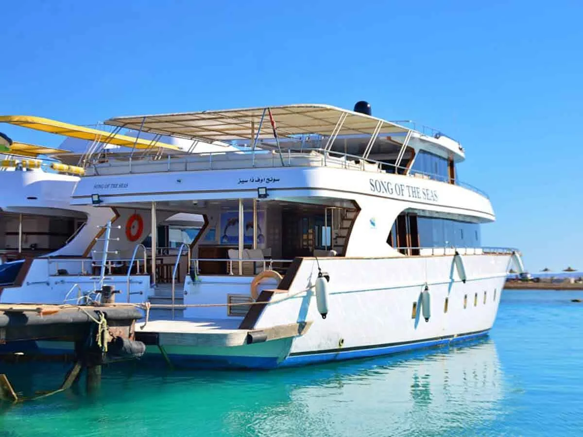 White motor yacht named Song of the Seas docked at a pier, with a dolphin mural painted on its side.