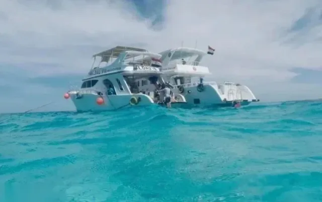 Dolphin Reef Snorkeling Tour