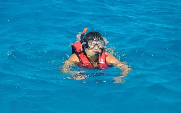 Dolphin Reef Snorkeling Tour photo 2