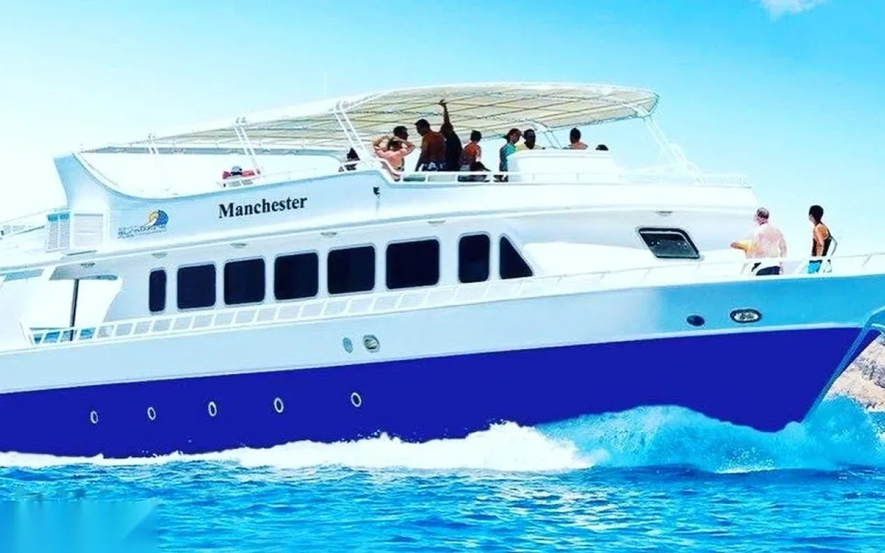 Dolphin Reef Snorkeling Tour photo 3