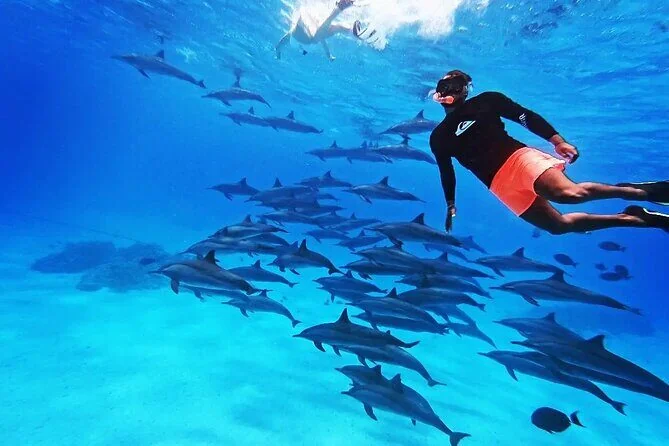 Snorkeler swimming alongside a large pod of dolphins underwater with the boat visible at the surface.