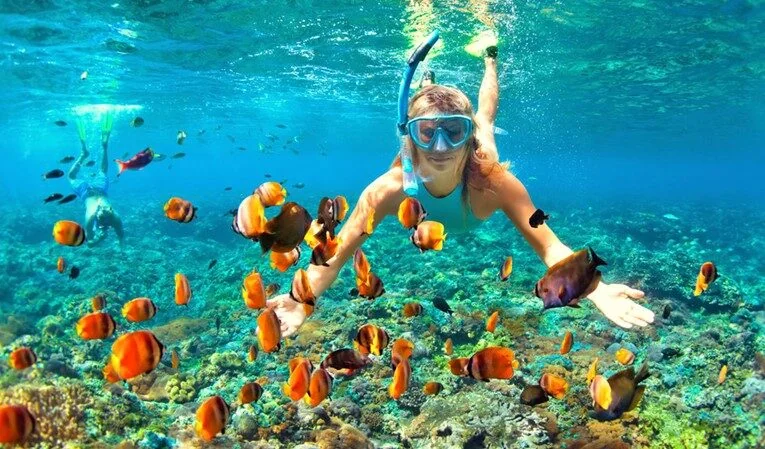 Woman snorkeling over a coral reef surrounded by a school of orange and black butterflyfish.