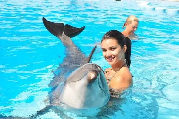 Spectacle de Dauphins en Famille photo 5