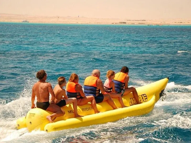 Family Dolphin Tour photo 2