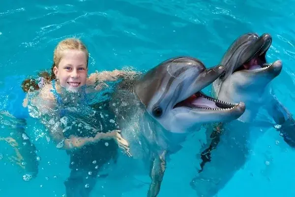 Nage avec les Dauphins en Famille photo 2