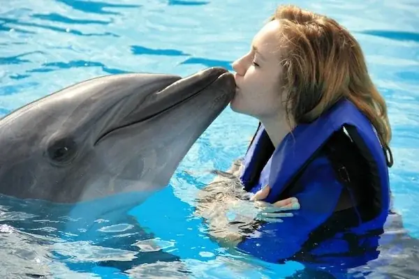 Nage avec les Dauphins en Famille photo 3