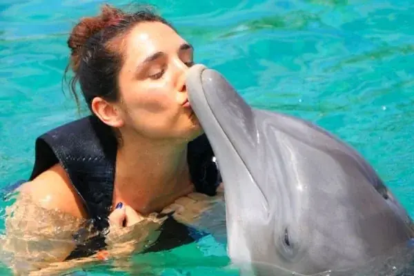 Nage avec les Dauphins en Famille photo 4
