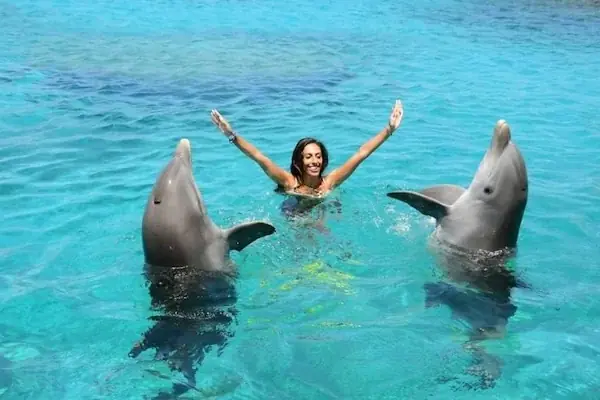 Nage avec les Dauphins en Famille photo 5