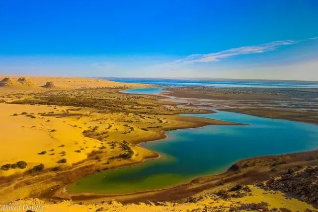 Fayoum Oasis Guide 2026: Wadi El Rayan, Magic Lake & Best Day Trips from Cairo (Reviews)