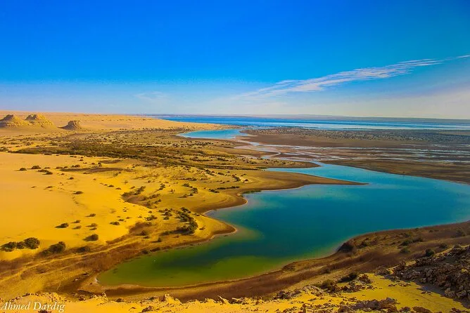 Fajjúm Sivatagi Napi Kirándulás: Bálnák Völgye, Varázs-tó és a Wadi El Rayan Vízesések in Kairó