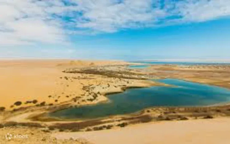 Экскурсия в оазис Файюм и водопады Вади-эль-Райян photo 2