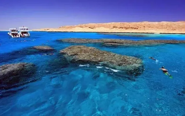 Giftun Island Snorkeling Excursion