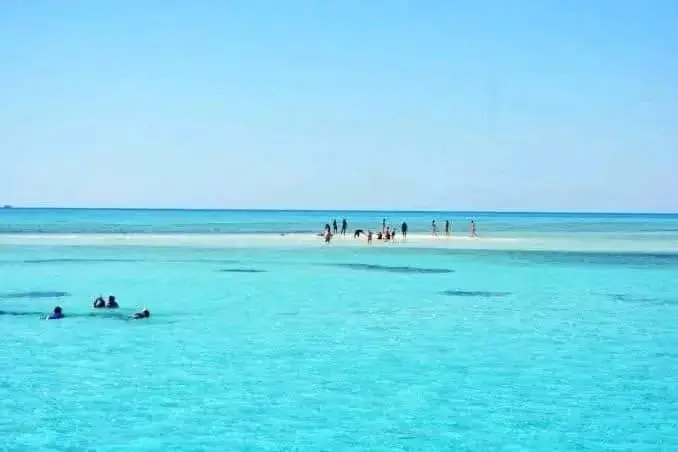 جولة قارب ذي قاع زجاجي photo 4