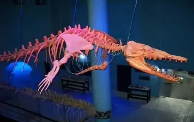 Hurghada Grand Aquarium Tour — Hurghada, rated 4.9 on TripAdvisor