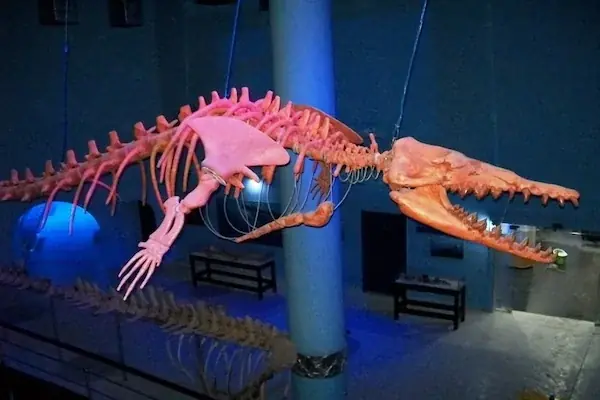 Hurghada Grand Aquarium Tour