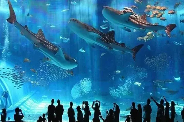 Hurghada Grand Aquarium Tour photo 2