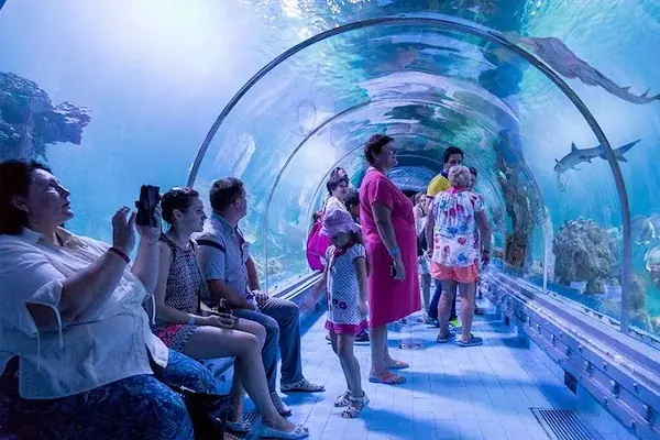 Hurghada Grand Aquarium Tour photo 4