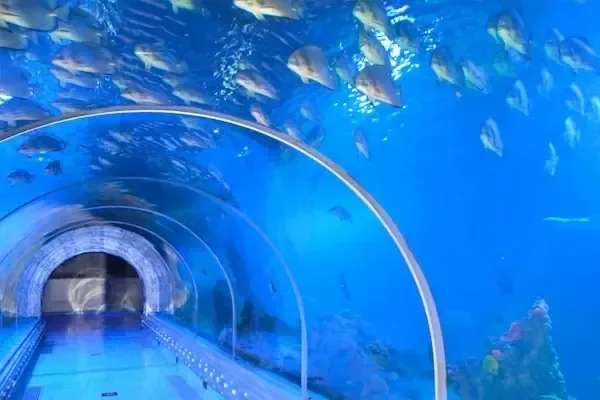 A group of tourists pose and wave inside an aquarium tunnel with a shark and stingray visible, an aquarium logo in the corner.