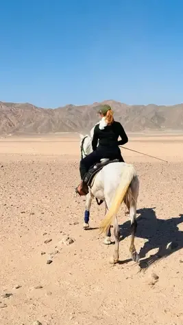 Desert & Sea Horse Riding