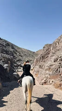 Desert & Sea Horse Riding — view 4