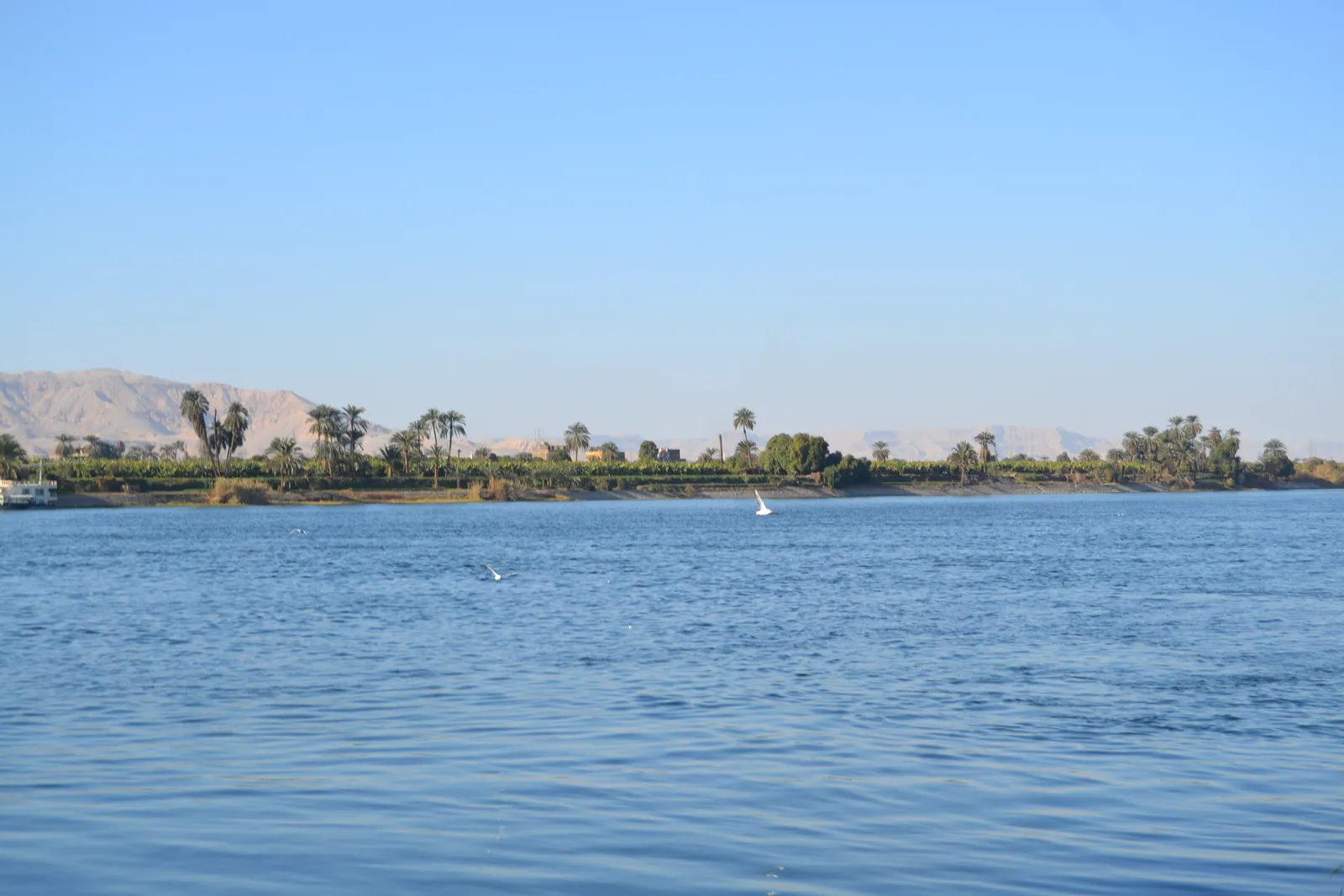 Nile Felucca Sunset Sail photo 2