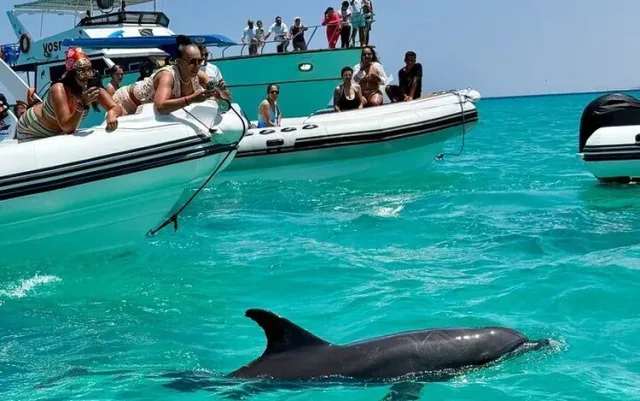 Luxury Speedboat Charter