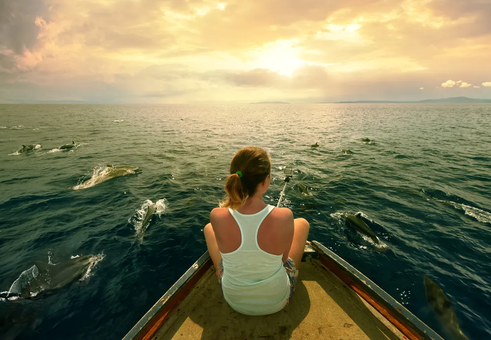 Luxury Speedboat Charter photo 4