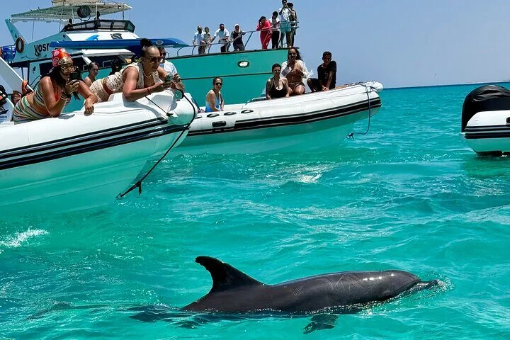 Tourists on an inflatable speedboat lean over to watch a dolphin swimming beside them in clear turquoise water, another boat and yacht in the background.