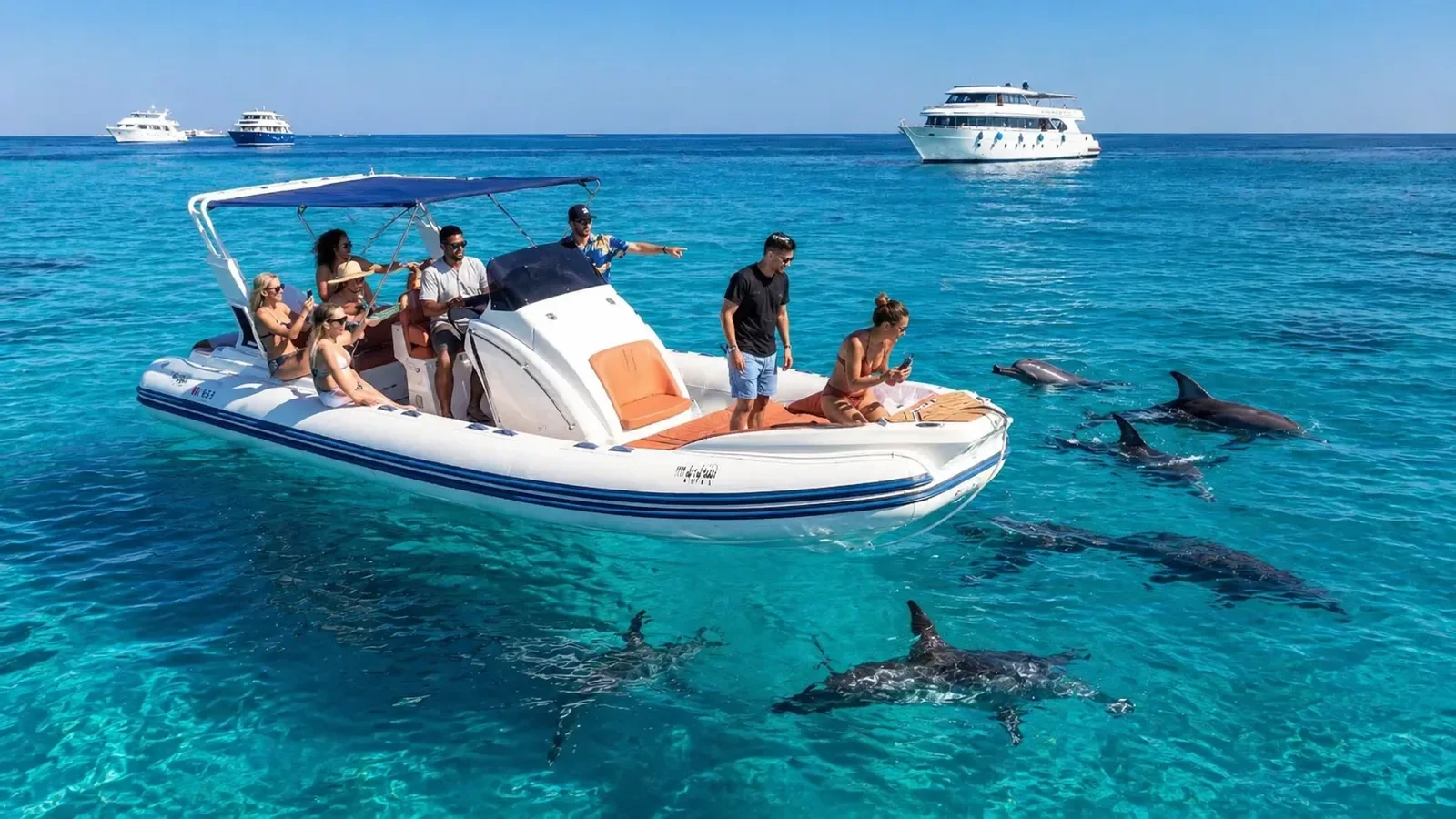 A guided speedboat with passengers pointing watches two dolphins leaping from deep blue water, with other boats in the distance.