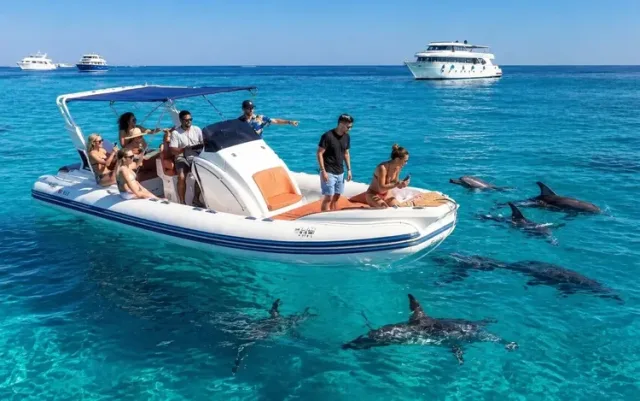 Orange Bay Speedboat Tour