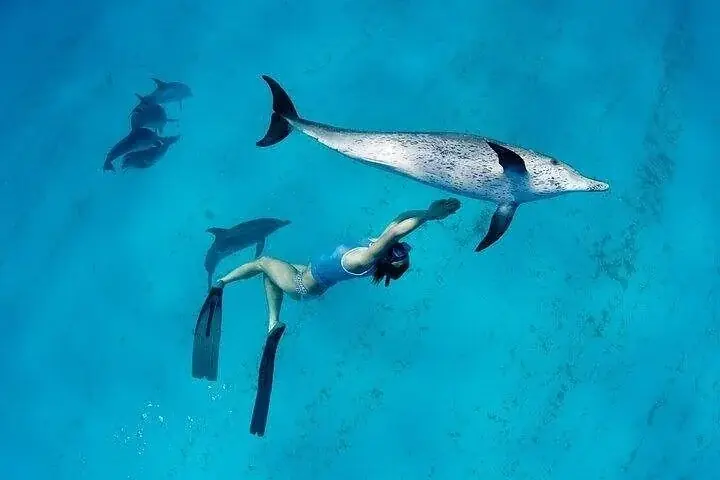 Ozirea Island Premium Trip photo 3